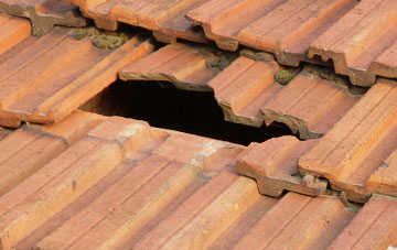 roof repair Levens, Cumbria
