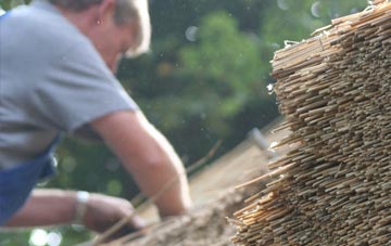 professional Levens thatchers